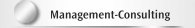 Management-Consulting